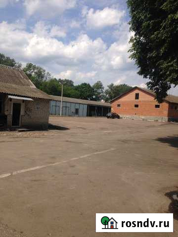 Складские помещения, от 100 до 1500 кв.м. Брянск - изображение 1