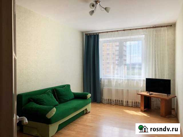 1-комнатная квартира, 43 м², 8/17 эт. в аренду на длительный срок в Лыткарино Лыткарино - изображение 1