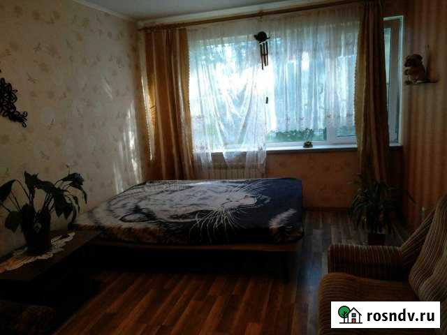 1-комнатная квартира, 35 м², 1/9 эт. в аренду на длительный срок в Кингисеппе Кингисепп - изображение 1