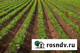 Участок СНТ, ДНП 9 сот. на продажу в Дальнем Константиново Дальнее Константиново - изображение 1