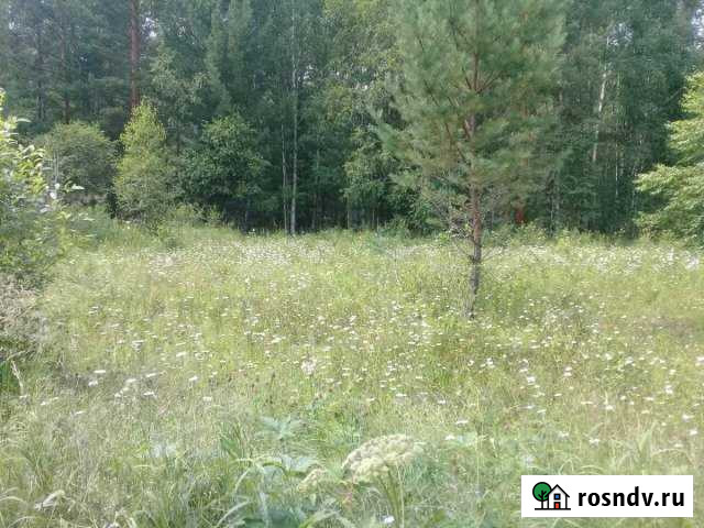 Участок СНТ, ДНП 10 сот. на продажу в Большом Лугу Большой Луг - изображение 1