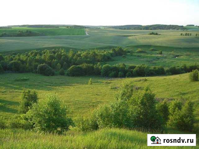 Участок СНТ, ДНП 150 сот. на продажу в Хасавюрте Хасавюрт - изображение 1