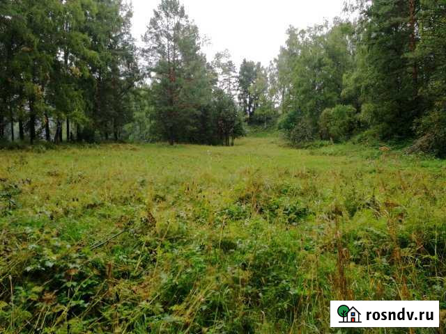 Участок промназначения 99 сот. на продажу в Горно-Алтайске Горно-Алтайск - изображение 1