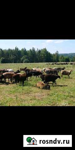 Участок СНТ, ДНП 1700 сот. на продажу в Адыгейске Адыгейск - изображение 1