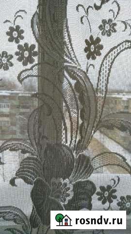 Комната 18 м² в 1-ком. кв., 6/9 эт. в аренду на длительный срок в Сыктывкаре Сыктывкар - изображение 1