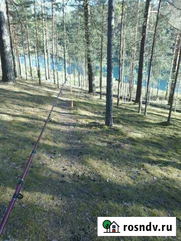 Дом 130 м² на участке 40 сот. на продажу в Стругах Красных Струги Красные - изображение 1