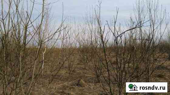 Участок ИЖС 16 сот. на продажу в Ревякино Ревякино