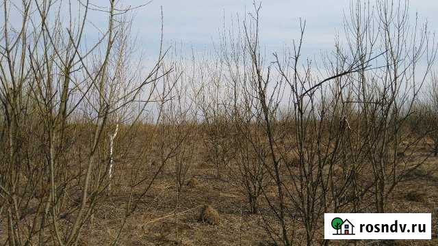 Участок ИЖС 16 сот. на продажу в Ревякино Ревякино - изображение 1