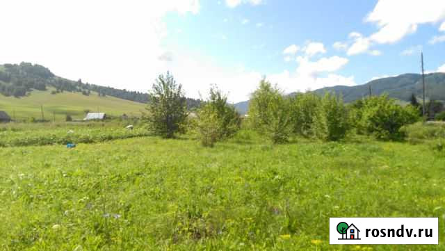 Участок ИЖС 30 сот. на продажу в Алтайском Алтайское - изображение 1