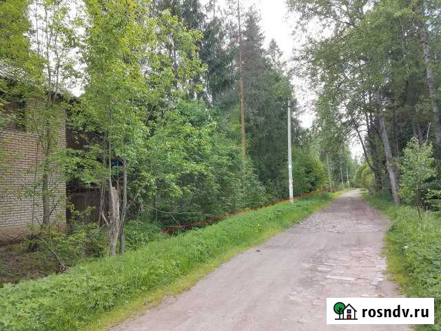 Участок ИЖС 24 сот. на продажу в Вырице Вырица - изображение 1