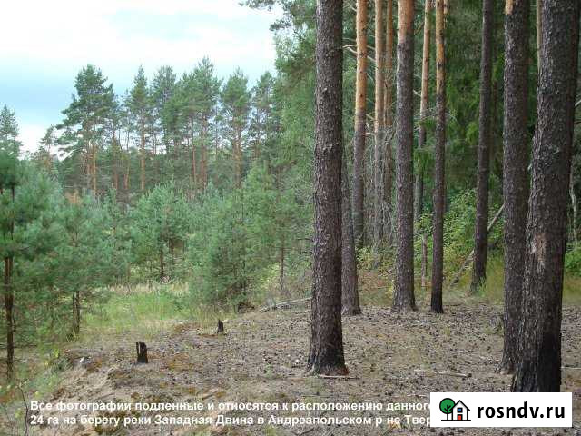 Участок СНТ, ДНП 2400 сот. на продажу в Андреаполе Андреаполь - изображение 1