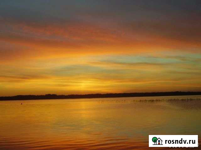 Дом 40 м² на участке 12 сот. на продажу в Стругах Красных Струги Красные - изображение 1