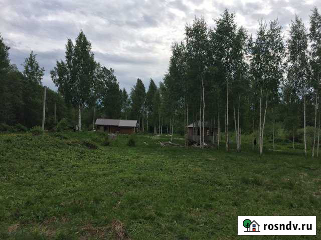 Участок СНТ, ДНП 10 сот. на продажу в Лотошино Лотошино - изображение 1