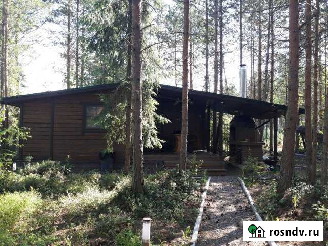 Дом 50 м² на участке 12 сот. на продажу в Толмачево Ленинградской области Толмачево - изображение 1