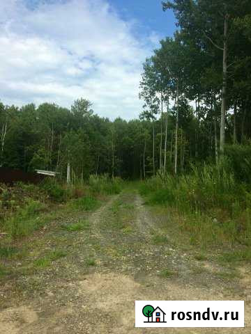 Участок ИЖС 30 сот. на продажу в Восточном Восточное - изображение 1