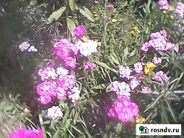 Участок ИЖС 16 сот. на продажу в Красной Горбатке Красная Горбатка - изображение 1