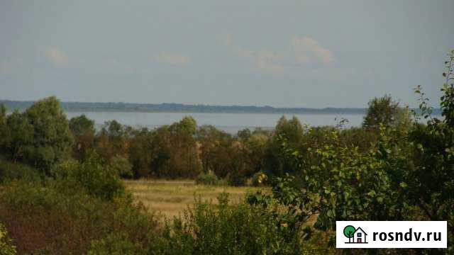 Участок ИЖС 100 сот. на продажу в Шимске Шимск - изображение 1