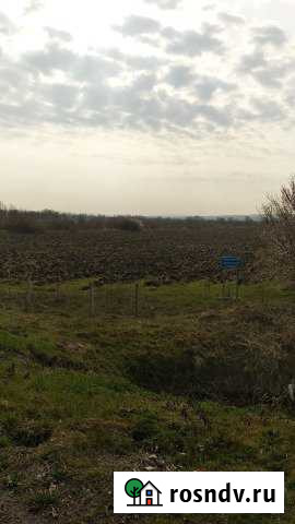 Участок СНТ, ДНП 1 сот. на продажу в Анапской Анапская - изображение 1