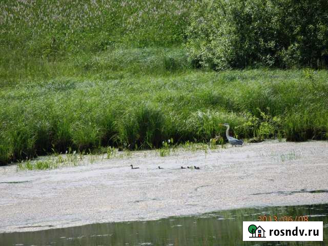 Участок СНТ, ДНП 100 сот. на продажу в Ворсме Ворсма - изображение 1