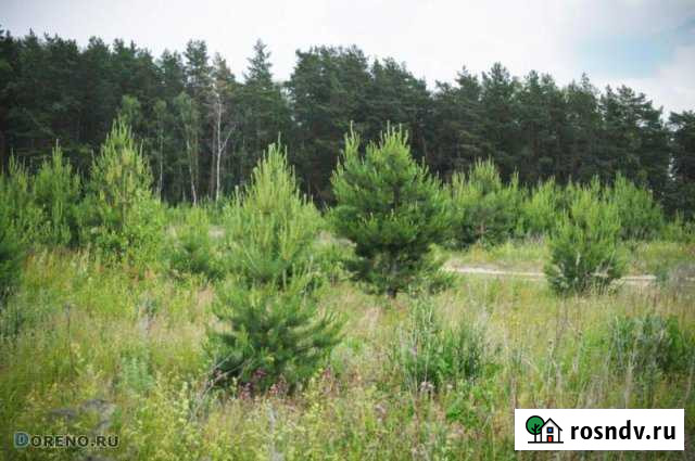 Участок ИЖС 25 сот. на продажу в Оханске Оханск - изображение 1