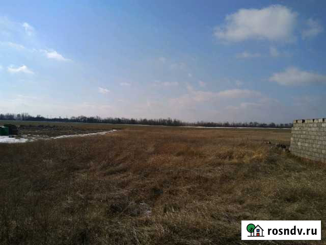 Участок ИЖС 12 сот. на продажу в Широчанке Широчанка - изображение 1