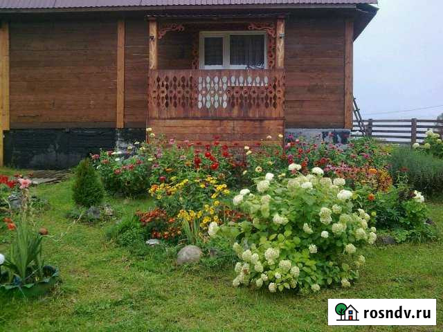 Дом 60 м² на участке 50 сот. в аренду посуточно в Турочаке Турочак - изображение 1