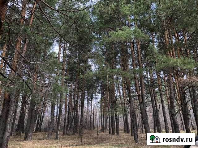 Участок ИЖС 15 сот. на продажу в Донском Тамбовской области Донское - изображение 1