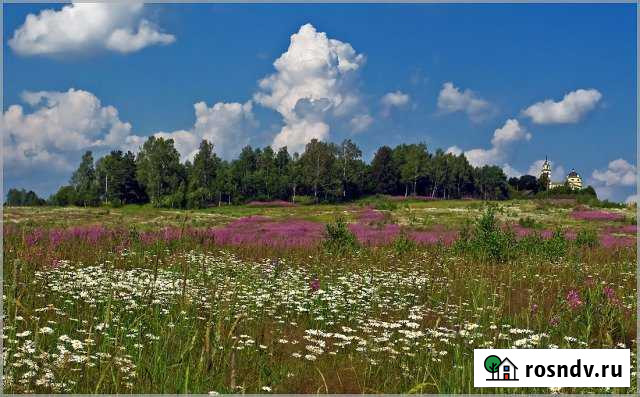 Участок СНТ, ДНП 6 сот. на продажу в Иваново Иваново - изображение 1