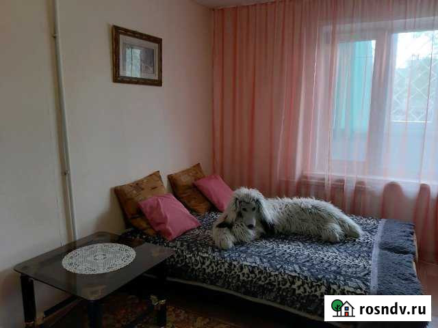 1-комнатная квартира, 30 м², 1/5 эт. в аренду посуточно в Славгороде Славгород - изображение 1