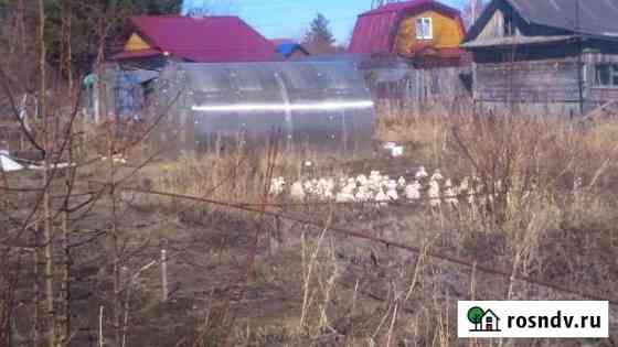 Дача 20 м² на участке 6 сот. на продажу в Каслях Касли