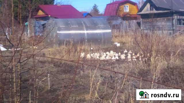 Дача 20 м² на участке 6 сот. на продажу в Каслях Касли - изображение 1