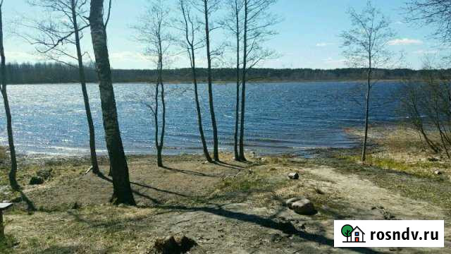 Дача 20 м² на участке 50 сот. в аренду на длительный срок в Саперном Саперное - изображение 1