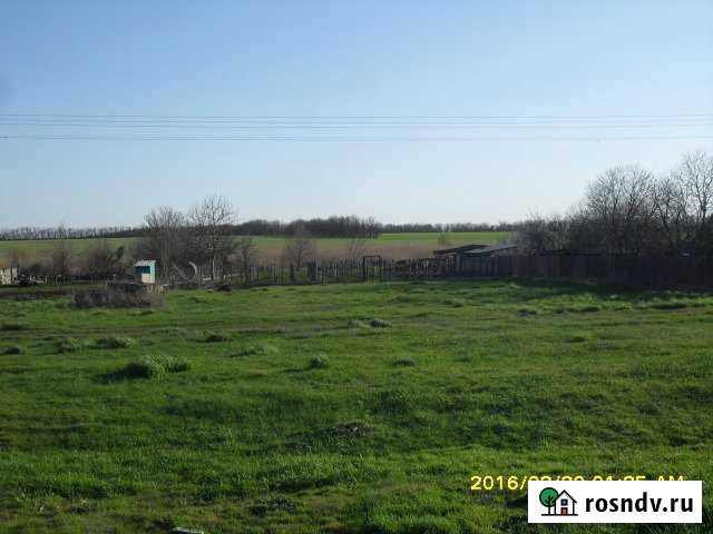 Участок ИЖС 25 сот. на продажу в Павловской Павловская - изображение 1