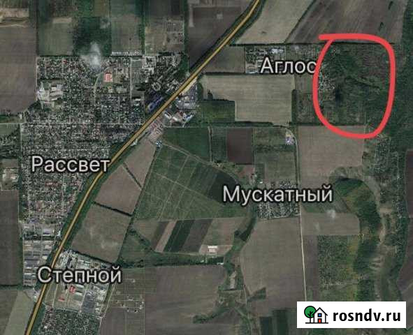 Участок СНТ, ДНП 6 сот. на продажу в Рассвете Ростовской области Рассвет - изображение 1