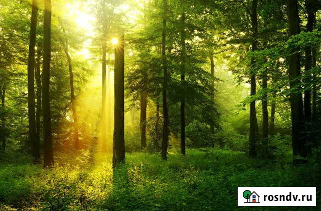 Участок ИЖС 15 сот. на продажу в Парфино Парфино - изображение 1