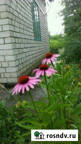 Дача 40 м² на участке 5 сот. на продажу в Шебекино Шебекино - изображение 1