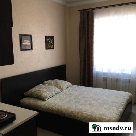 Квартира-студия, 22 м², 2/5 эт. в аренду посуточно в Ижевске Ижевск - изображение 1