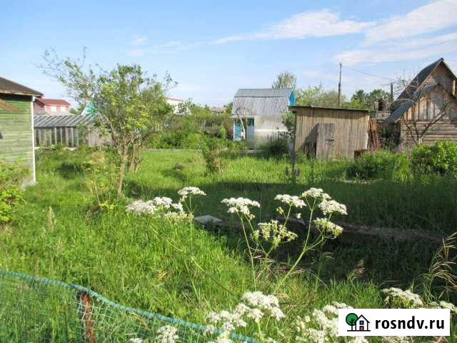 Дача 25 м² на участке 5 сот. на продажу в Подстепках Подстепки - изображение 1