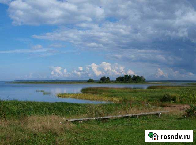 Участок ИЖС 10 сот. на продажу в Середке Середка - изображение 1