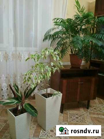 1-комнатная квартира, 36 м², 2/2 эт. в аренду посуточно в Муроме Муром - изображение 1