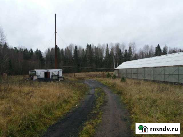 Производственное помещение, 3000 кв.м. Выборг - изображение 1