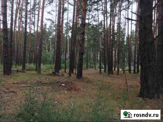Участок ИЖС 12 сот. на продажу в Себеже Себеж