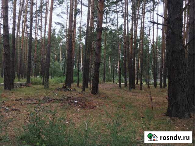 Участок ИЖС 12 сот. на продажу в Себеже Себеж - изображение 1