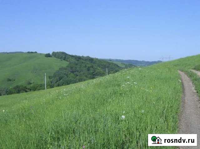 Участок СНТ, ДНП 198 сот. на продажу в Псебае Псебай - изображение 1