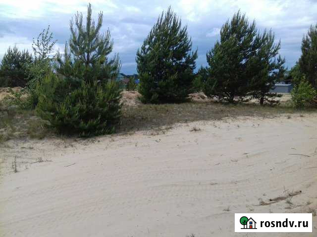 Участок СНТ, ДНП 6 сот. на продажу в Чебоксарах Чебоксары - изображение 1