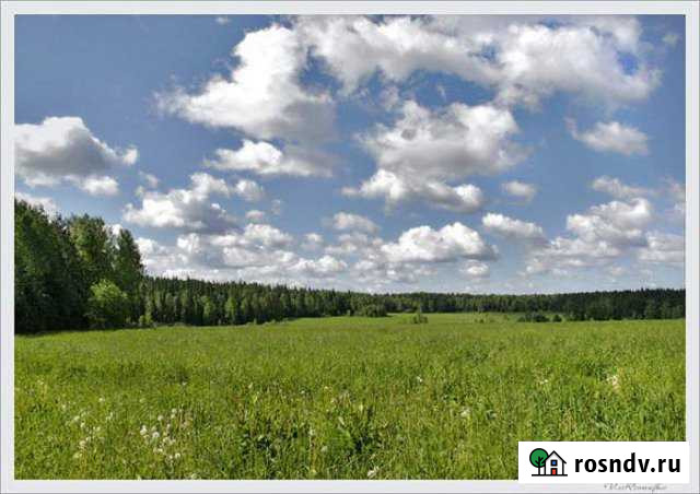 Участок СНТ, ДНП 15 сот. на продажу в Зарайске Зарайск - изображение 1