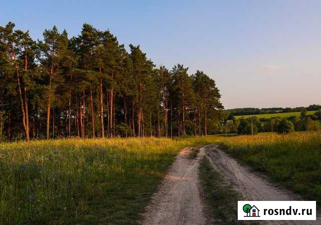 Участок СНТ, ДНП 2050 сот. на продажу в Щелкуне Щелкун - изображение 1