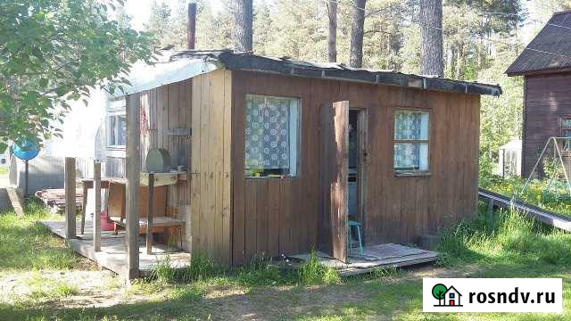 Дача 25 м² на участке 12 сот. в аренду на длительный срок в Саперном Саперное - изображение 1