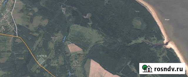 Участок СНТ, ДНП 560 сот. на продажу в Брейтово Брейтово - изображение 1