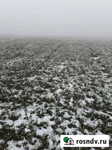 Участок ИЖС 25 сот. на продажу в Новом Атлашево Новое Атлашево - изображение 1